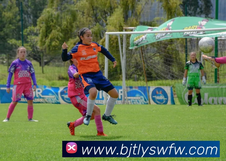 星空体育平台生态图